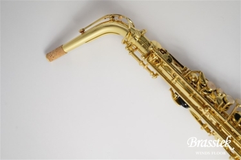 Alto Saxophone Axos